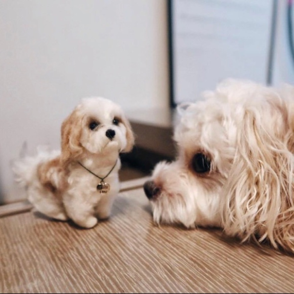 Custom pet wool felt dog, best gift for everyone